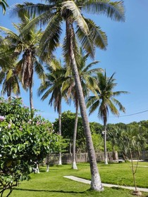 Hidden Paradise Beach Jiote