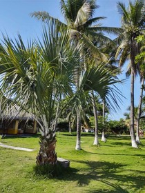 Hidden Paradise Beach Jiote