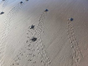 Hidden Paradise Beach Jiote