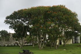 Amatique Bay Hotel