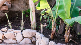 Baraka Atitlán