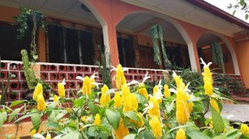 Hospedaje El Viajero Panajachel
