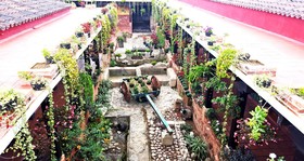 Hotel Eterna Primavera