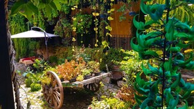 Hotel Eterna Primavera