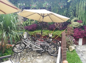 Los Olivos Boutique
