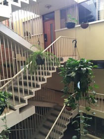 Apartamentos Reforma