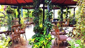 Hotel Guatemala Inn