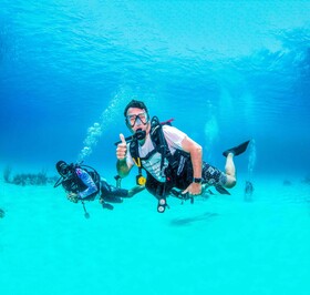 Blue Roatán Resort