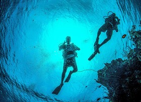 Blue Roatán Resort