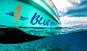 Blue Roatán Resort