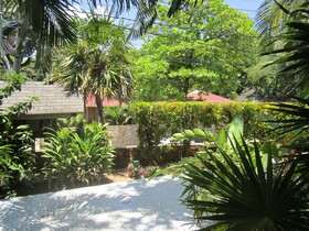 Coconut Tree Cabins West End