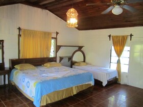 Coconut Tree Cabins West End
