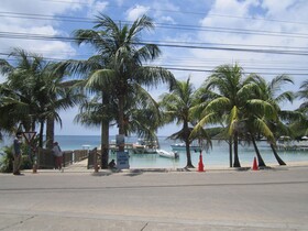 Coconut Tree Cabins West End