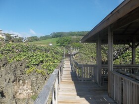 Fosters West Bay Resort