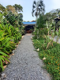 Guava Grove Villas and Resort