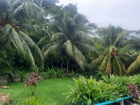 Guava Grove Villas and Resort