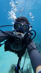 Hotel Roatan Dive and Yacht Club