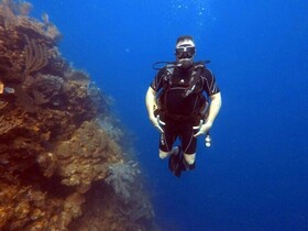 Hotel Roatan Dive and Yacht Club