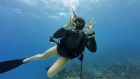 Hotel Roatan Dive and Yacht Club