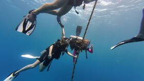 Hotel Roatan Dive and Yacht Club