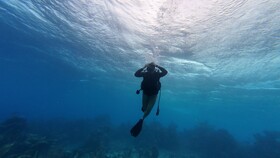 Hotel Roatan Dive and Yacht Club