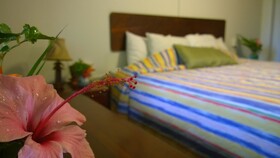 Hotel Roatan Dive and Yacht Club