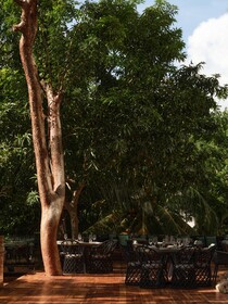 Kimpton Grand Roatán Resort & Spa