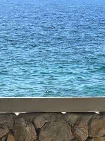 Lands End