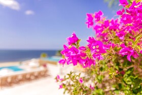 Las Verandas Hotel & Villas