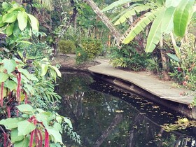 Mango Creek Lodge