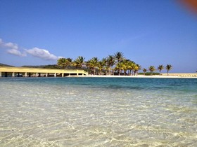 Parrot Tree Beach Resort & Marina