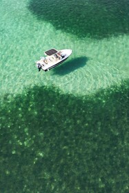 Puerta Azul