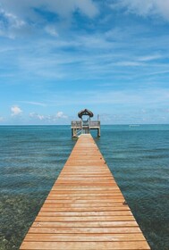 Puerta Azul