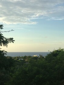 Roatan Bed & Breakfast Apartments