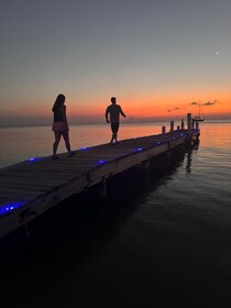 Villas del Playa