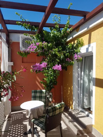 Apartments Dumic