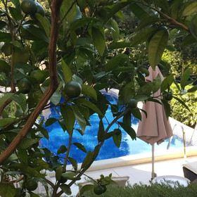 Guest House Villa Dagmar