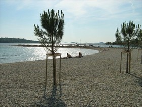 Apartments Marica