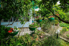 Apartmani Gita