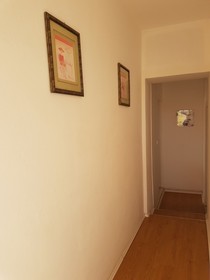 Apartment Mileva