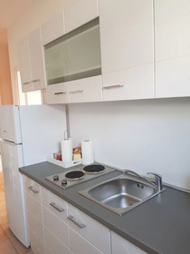 Apartment Mileva