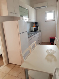 Apartment Mileva