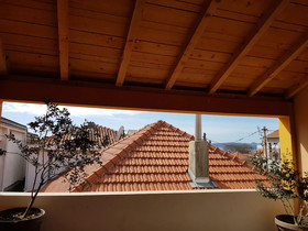 Apartment Mileva