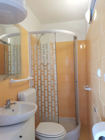 Apartment Mileva
