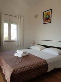 Apartment Mileva