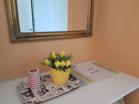 Apartment Mileva
