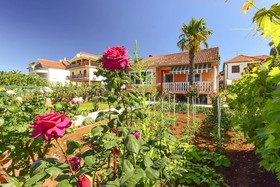 Holiday House Anica