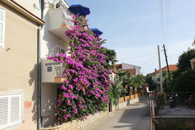 Apartments J&R Babara