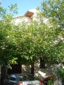 Apartments Kamber