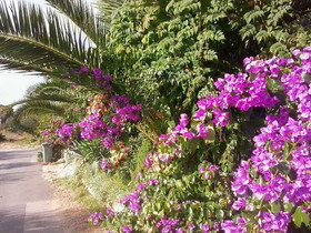 Apartments Moreta